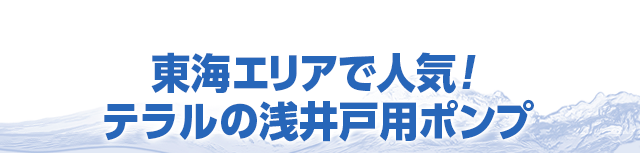 東海エリアで人気！テラルポンプ